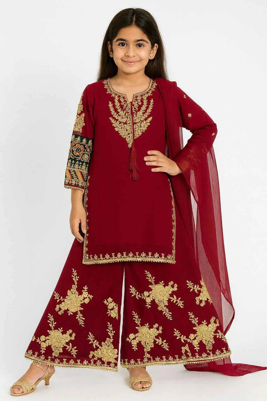 KD Chiffon Dress Maroon | Embroidered Palazo & Multicolor Sleeve Work