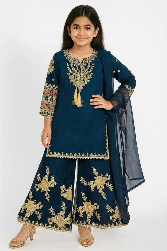 KD Chiffon Dress Zinc | Embroidered Palazo & Multicolor Sleeve Work